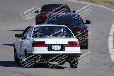 media/Nov-19-2023-Extreme Speed (Sun) [[bd0eec5490]]/Purple/Back Shots/